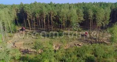 砍伐森林，破坏环境，破坏生态